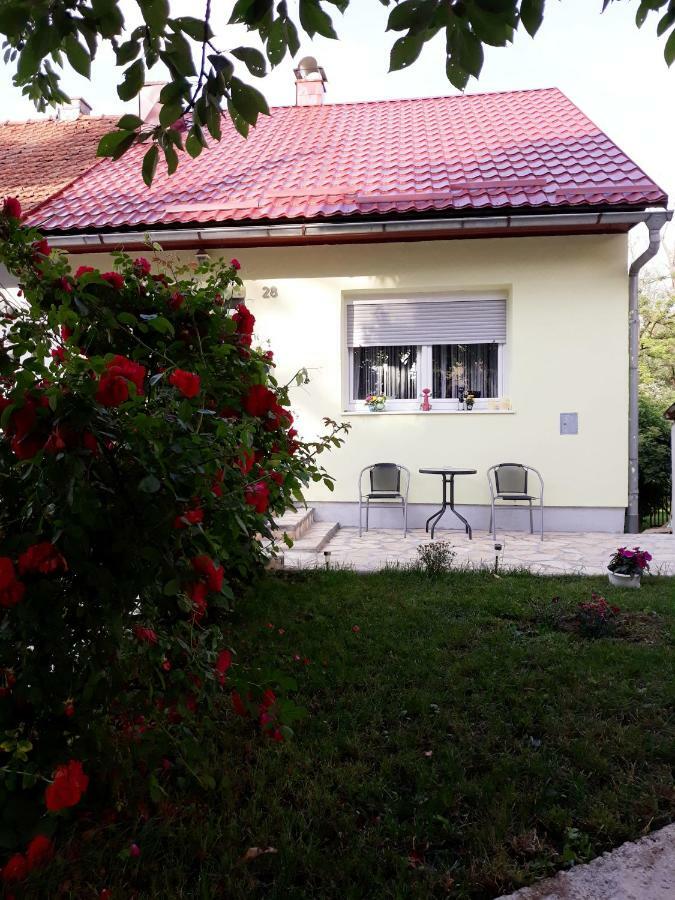 Gospic Riverside Apartment Kültér fotó